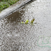 Циклон добавил проблем Владивостоку (ФОТО)