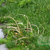 Циклон добавил проблем Владивостоку (ФОТО)