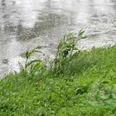 Циклон добавил проблем Владивостоку (ФОТО)