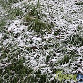 ФОТОдыхание зимы ноябрьским утром