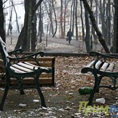 ФОТОдыхание зимы ноябрьским утром