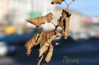 Ноябрь пролетел. Каким он был?