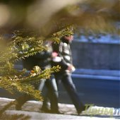 Внезапный утренний снег украсил город
