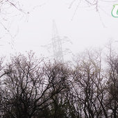Утренний туман напомнил владивостокцам, что лето еще не наступило (ФОТО)