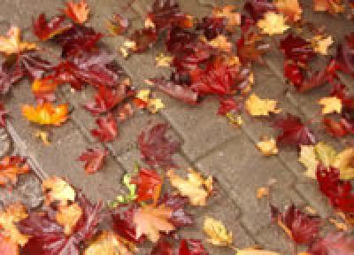 Чем примечателен в Приморье сезон перехода от лета к осени?