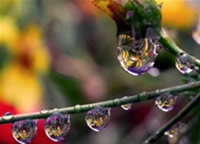 Прошедшая первая декада мая в Приморье выдалась влажной 