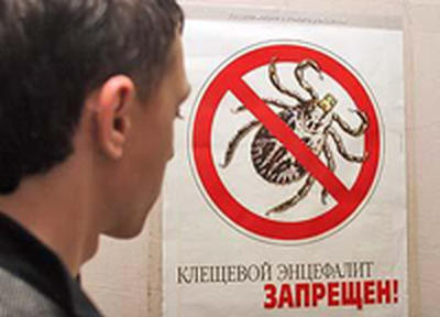 С подозрением на клещевой энцефалит уже госпитализировано 8 приморцев С подозрением на клещевой энцефалит уже госпитализировано 8 приморцев