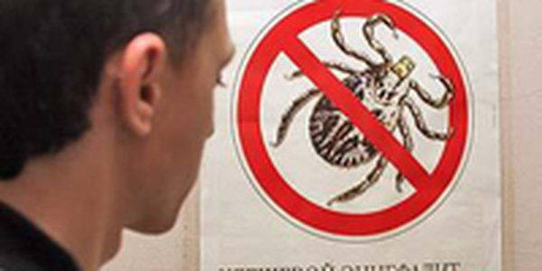 С подозрением на клещевой энцефалит уже госпитализировано 8 приморцев