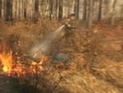 В Читинской области горит лес