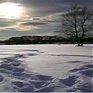 Минувший день был самым теплым за весь зимний период этого года