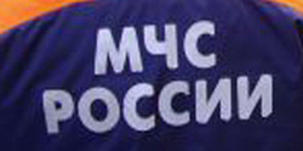 МЧС напоминает о правилах безопасности в лесу