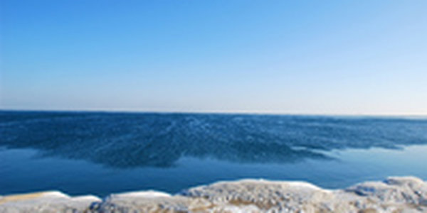 Состояние Охотского моря беспокоит экологов