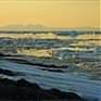 Самое ледовитое нынче Каспийское море