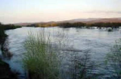 Реки в Приморье по-прежнему в берегах