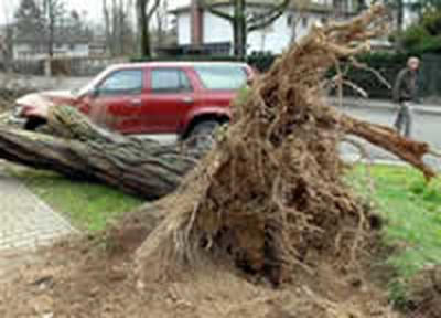 Жертвами непогоды на юго-западе Германии стали несколько человек