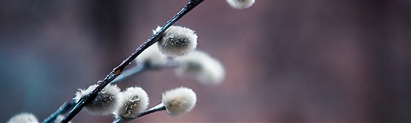 В субботу в Приморье местами пройдет дождь