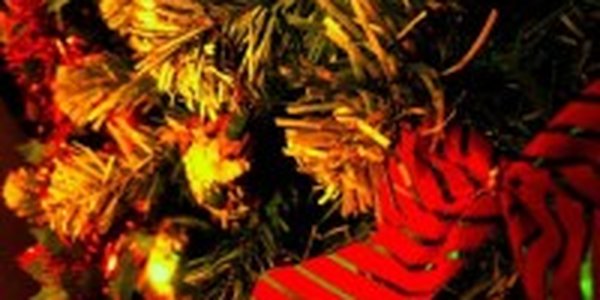 Итоги голосования: встречать Новый год дома планируют более половины приморцев
