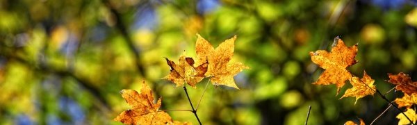 Воскресный день порадовал Приморье прощальным сентябрьским теплом