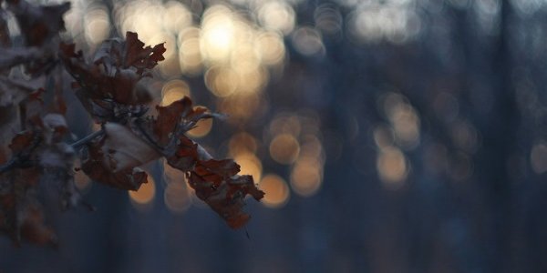 Заморозки и дождь со снегом несёт в Приморье холодный атмосферный фронт 