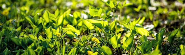 В субботу в Приморье станет теплее