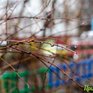 Третьи сутки в Приморье сохраняется ненастная погода
