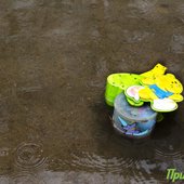 Третьи сутки в Приморье сохраняется ненастная погода