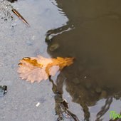 Третьи сутки в Приморье сохраняется ненастная погода