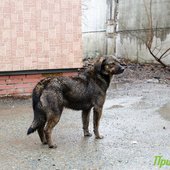 Третьи сутки в Приморье сохраняется ненастная погода