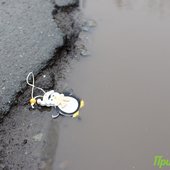 Третьи сутки в Приморье сохраняется ненастная погода