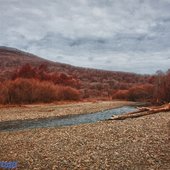 После всплеска тепла в Приморье снова похолодало