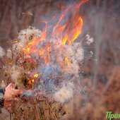 После всплеска тепла в Приморье снова похолодало