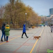 После всплеска тепла в Приморье снова похолодало
