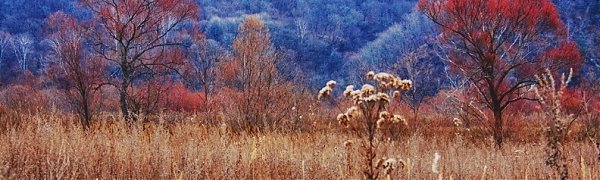 После всплеска тепла в Приморье снова похолодало