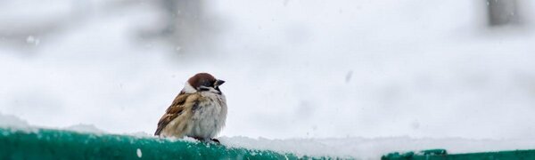 В воскресенье в Приморье будет холоднее