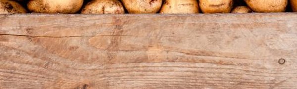 Продуктовая ярмарка пройдёт во Владивостоке 4 и 5 ноября