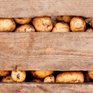 Продуктовая ярмарка пройдёт во Владивостоке 4 и 5 ноября