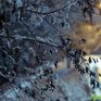Праздничные выходные в Приморье будут холодными и снежными