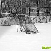 Столицу Приморья накрыл снежный циклон (ФОТО)