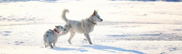 Завтра в Приморье станет ещё немного теплее