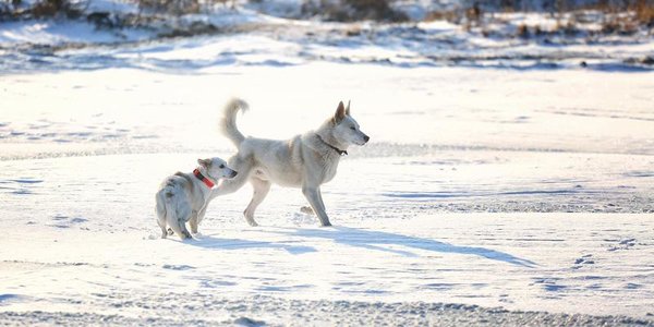Завтра в Приморье станет ещё немного теплее