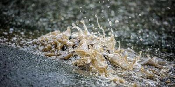 Названы районы Приморья, где возможны резкие подъемы уровня воды из-за сильных дождей 5 мая