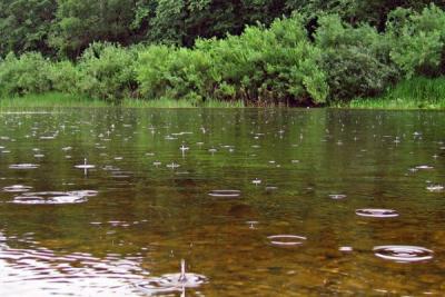 На большинстве рек Приморья начался подъем уровня воды