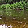На большинстве рек Приморья начался подъем уровня воды