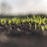Рост температуры повысит выбросы CO2 из почвы