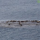 Провожаем осень