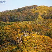 Провожаем осень