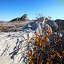 Провожаем осень