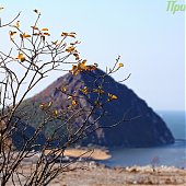 Провожаем осень