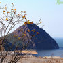 Провожаем осень