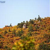 Провожаем осень